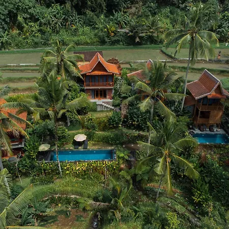 Kawiya Healing Retreat Sanctuary By Bali Cabin
