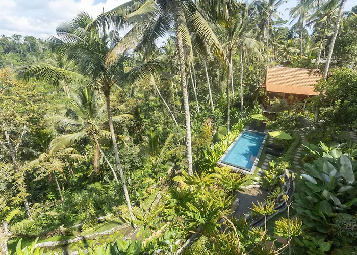 Kawiya Healing Retreat Sanctuary By Bali