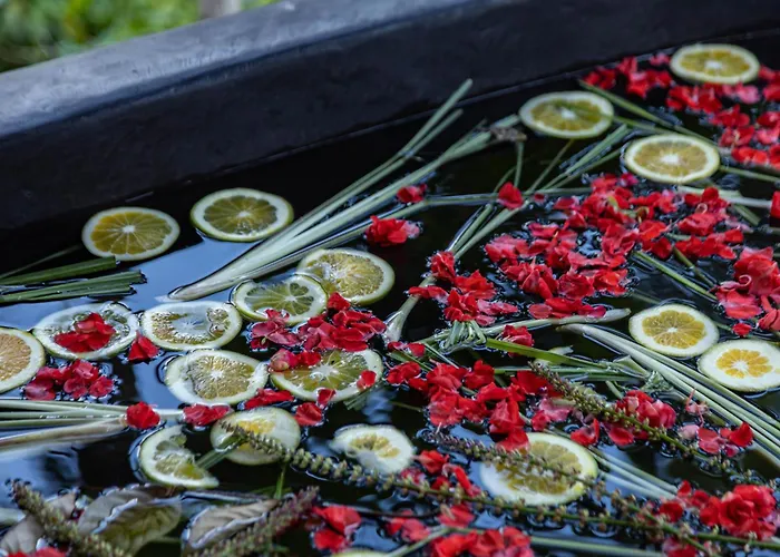 Hotel Kawiya Healing Retreat Sanctuary By Bali *