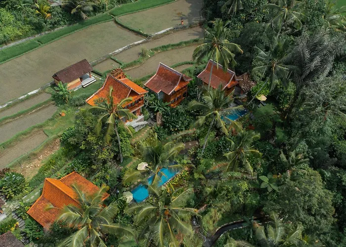 Kawiya Healing Retreat Sanctuary By Bali