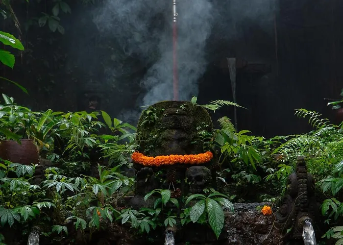 Kawiya Healing Retreat Sanctuary By Bali
